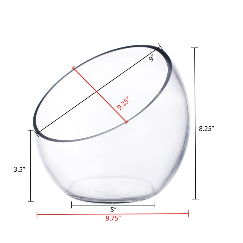 CYS EXCEL Glass Slant Cut Bubble Bowl (H-8" W-9") Clear Flower Vase Globe Bowl Terrarium Round Planter Decorative Centerpiece - Image 2